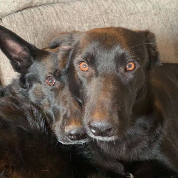 Meet your Posher, Jess - Picture 10 of 14